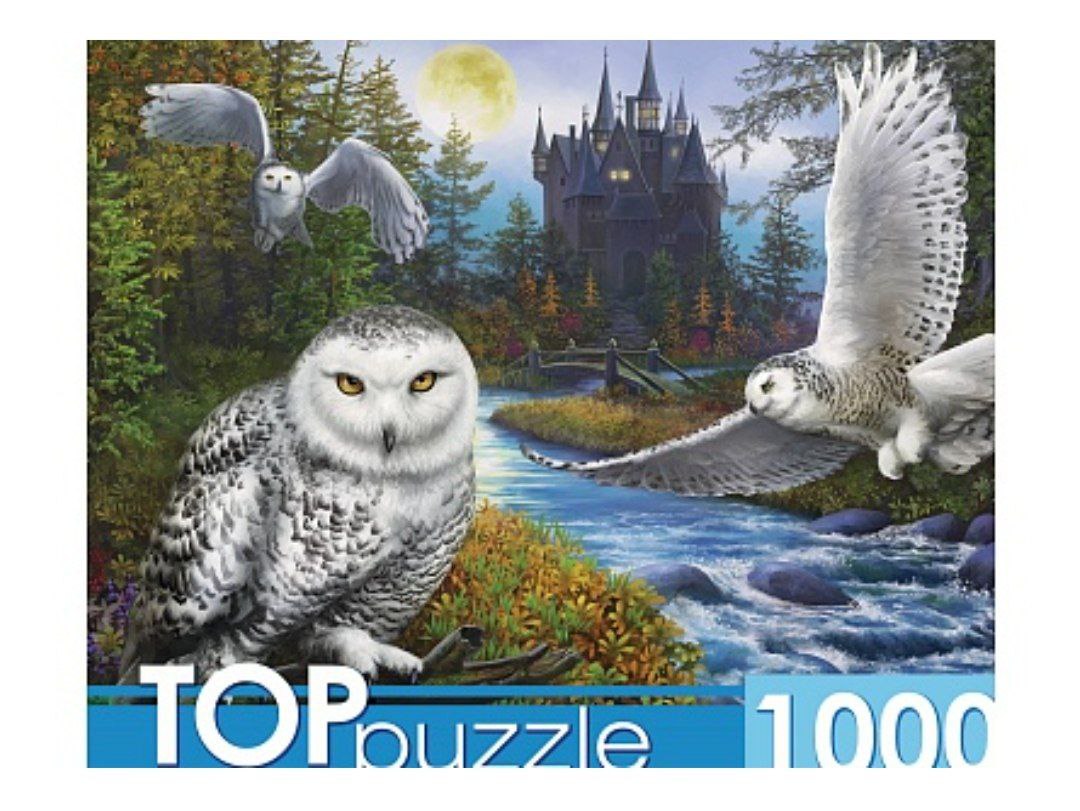 TOPpuzzle. ПАЗЛЫ 1000 элементов. Ф1000-9941 Магическая сова и замок 