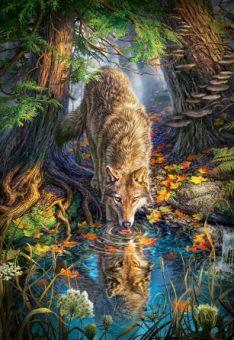 Пазлы 1500 Волк в дикой природе (Вид 1)