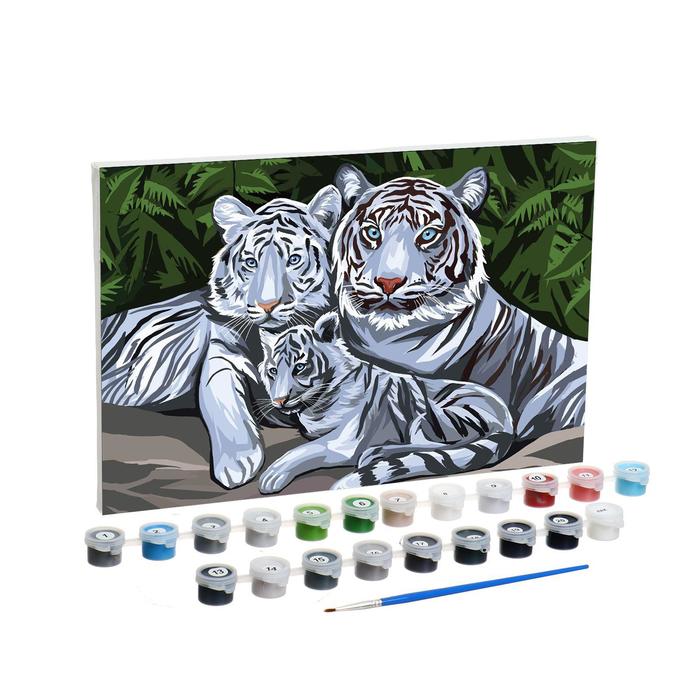 Картина по номерам на холсте с подрамником Белые тигры 20*30 см 6853837 (Вид 2)