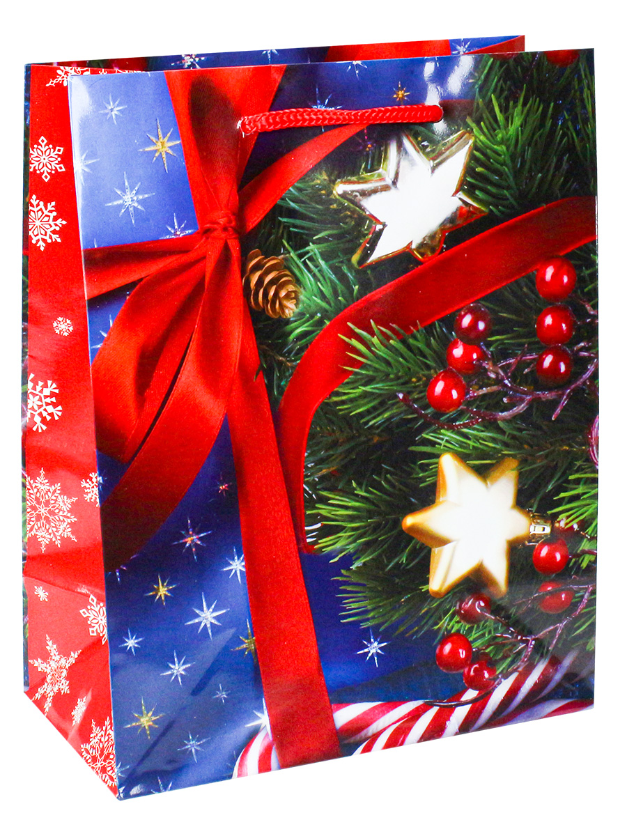 Пакет подарочный с глянцевой ламинацией 18x23x10 см  (M) Однажды в новогоднюю ночь, 157 г  ПКП-6117