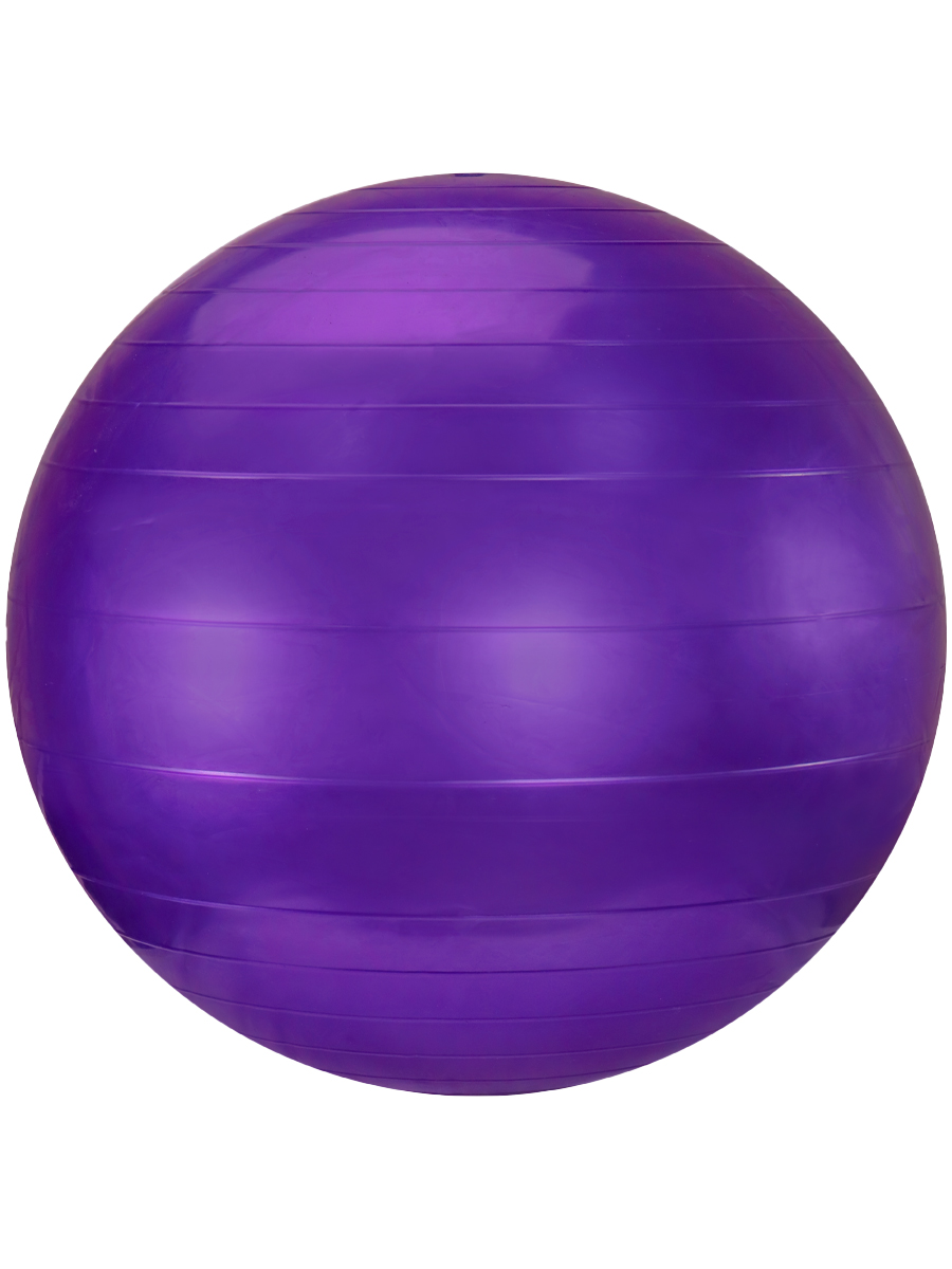 Мяч -прыгун гимнастический (65см, 900 гр) Арт. AN01254 (Вид 1)