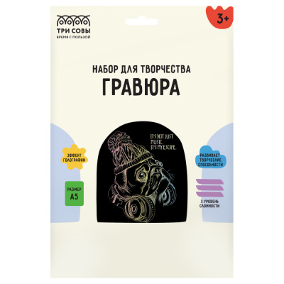 Гравюра с голографическим эффектом ТРИ СОВЫ Меломан, А5