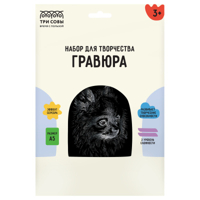 Гравюра с эффектом серебра ТРИ СОВЫ Шпиц, А5