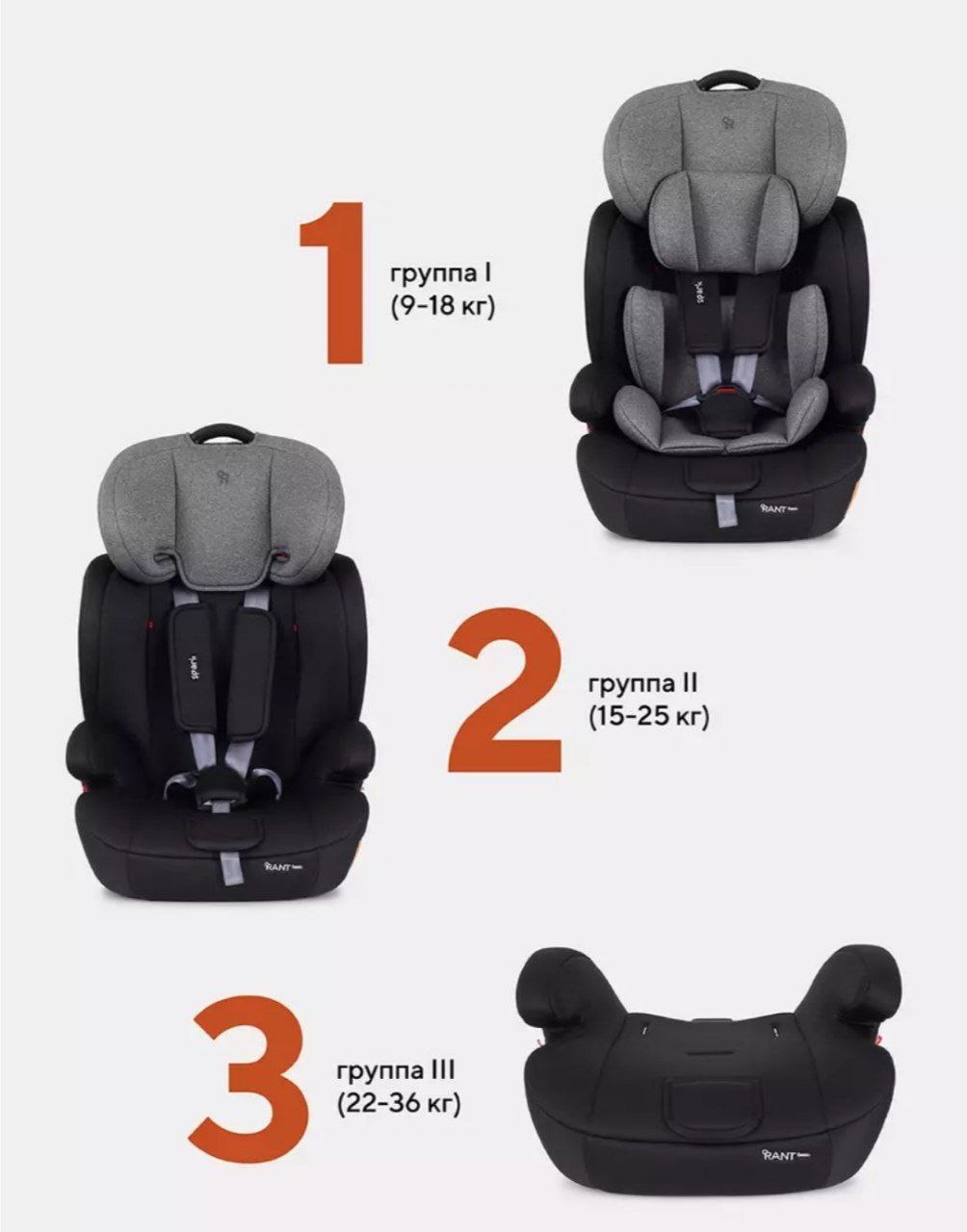 Автокресло RANT basic ZY10 Spark RANT basic (Graphite) группа 1-2-3 (9-36 кг) (Вид 4)