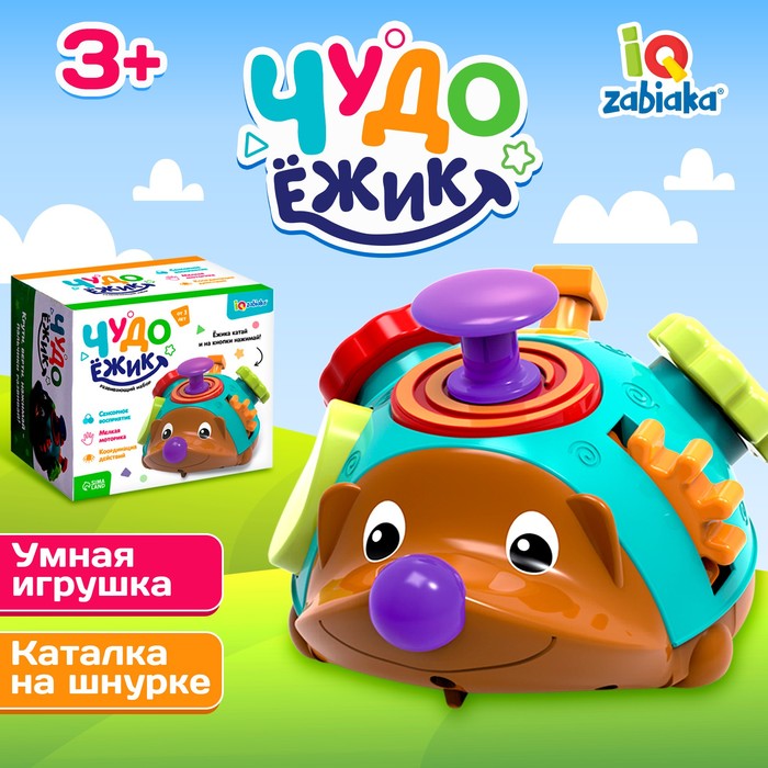 Развивающий набор «Чудо ёжик»   9351717