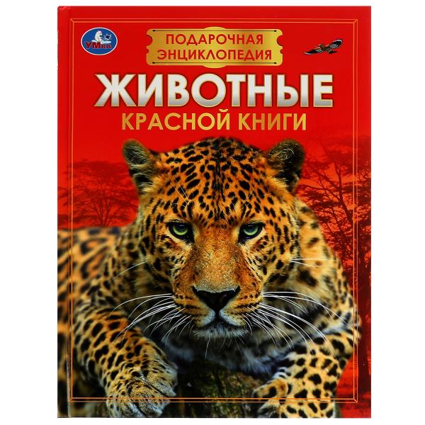 Животные Красной книги. Подарочная энциклопедия. 210х280мм. 256стр. Умка 978-5-506-07674-2
