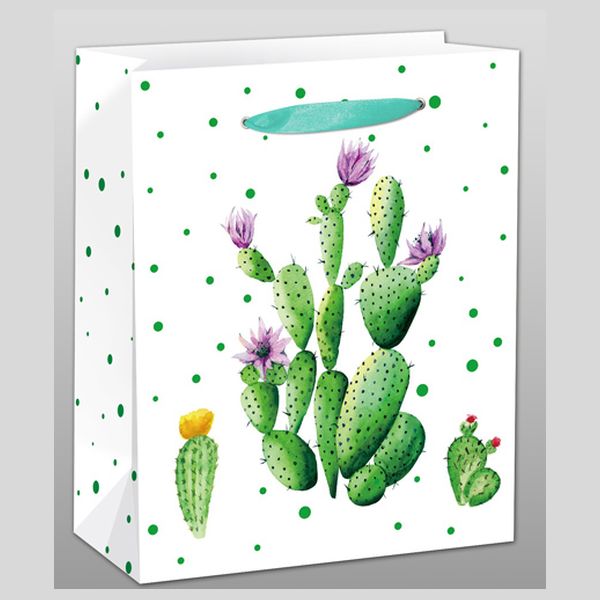 Dream cards Пакет подарочный с мат. лам.  Кактус с цветочками 26.4х32.7х13.6см (L),210 г ППД-9649