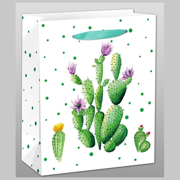 Dream cards Пакет подарочный с матовой ламинацией Кактус с цветочками 31x42x12 см (XL),210 гППД-9677 (Вид 1)
