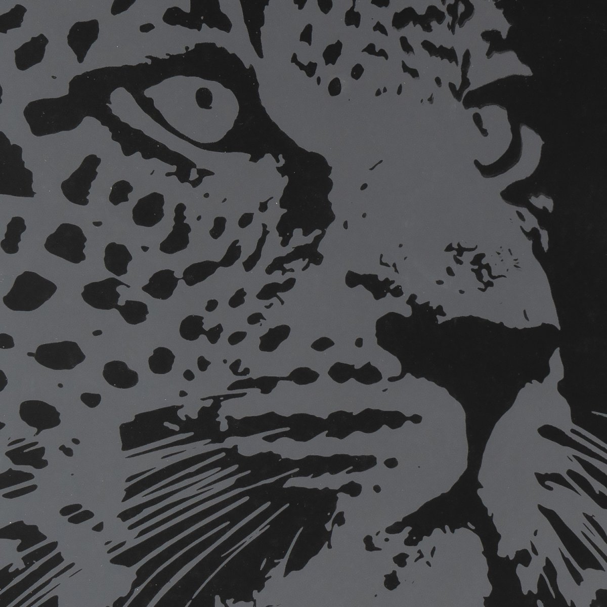 Гр-760 Скретчинг 30*40см Животные Красивый леопард (Вид 3)