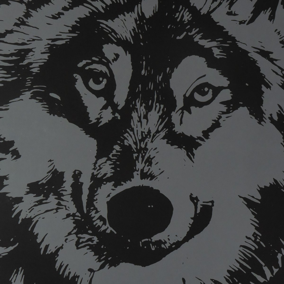 Гр-763 Скретчинг 30*40см Животные Красивый волк (Вид 3)
