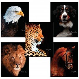 Тетрадь А5 48л. BRAUBERG скоба, клетка, обложка картон, рисунок ЖИВОТНЫЕ, 403034