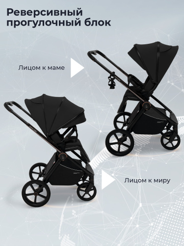 Коляска 2в1 SBL Elegante Therma Black (Вид 5)