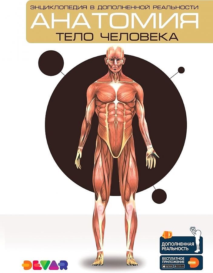 Энциклопедия 4D в дополненной реальности «Анатомия:тело человека» А4 мяг обл 00-0001281 3775647 (Вид 2)