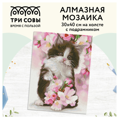 Алмазная мозаика ТРИ СОВЫ Котенок в цветах, 30*40см, холст на деревянном подрамнике, картонная кор