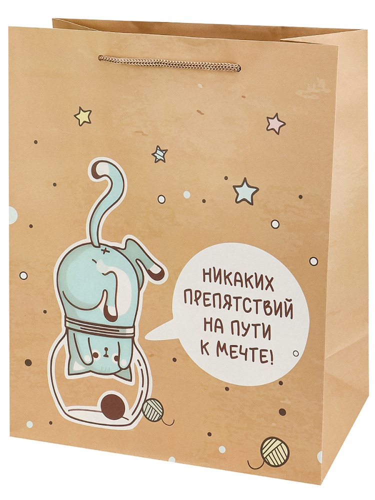 Пакет подарочный из крафт-бумаги 26,4x32,7x13,6 см (craft L) Мечта, 150 г(собс.разр.) ППК-2771
