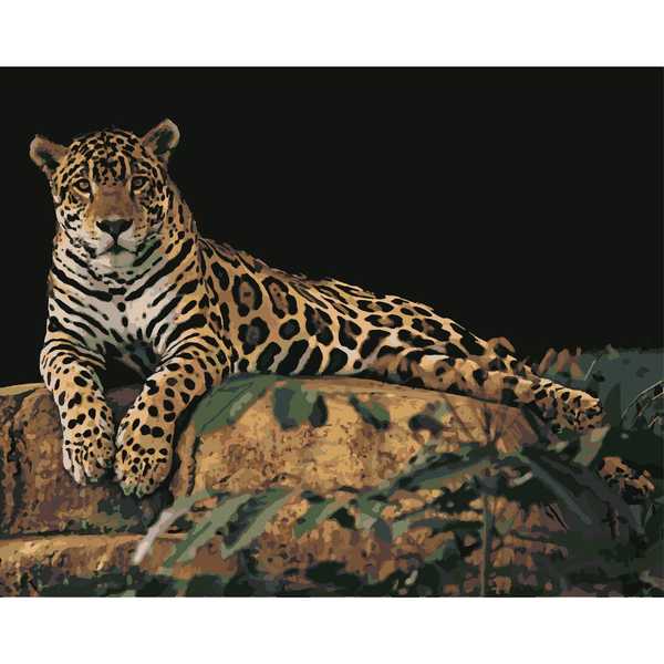 Рисование по номерам Леопард на камне 40х50 см HS0029 4015516 (Вид 1)