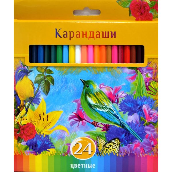 Карандаши цветные 24 цв. Солнечный креатив (BG) (Вид 1)