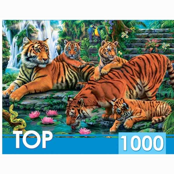 TOPpuzzle. ПАЗЛЫ 1000 элементов. ХТП1000-2160 Семейство тигров