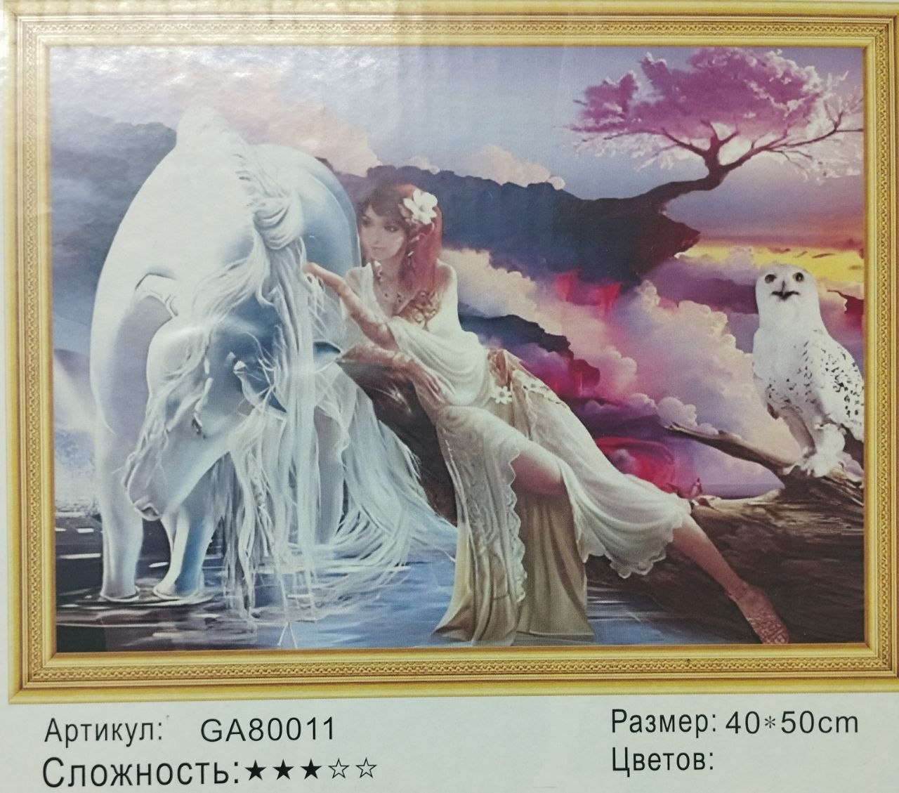 Алмазная мозайка 40х50 арт.GA80011