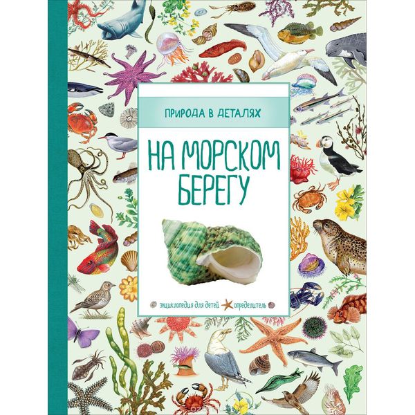 На морском берегу (Природа в деталях) (Росмэн)