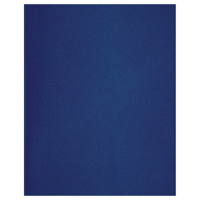 Тетрадь 48л., А5 линия BG, бумвинил, синий (Вид 1)