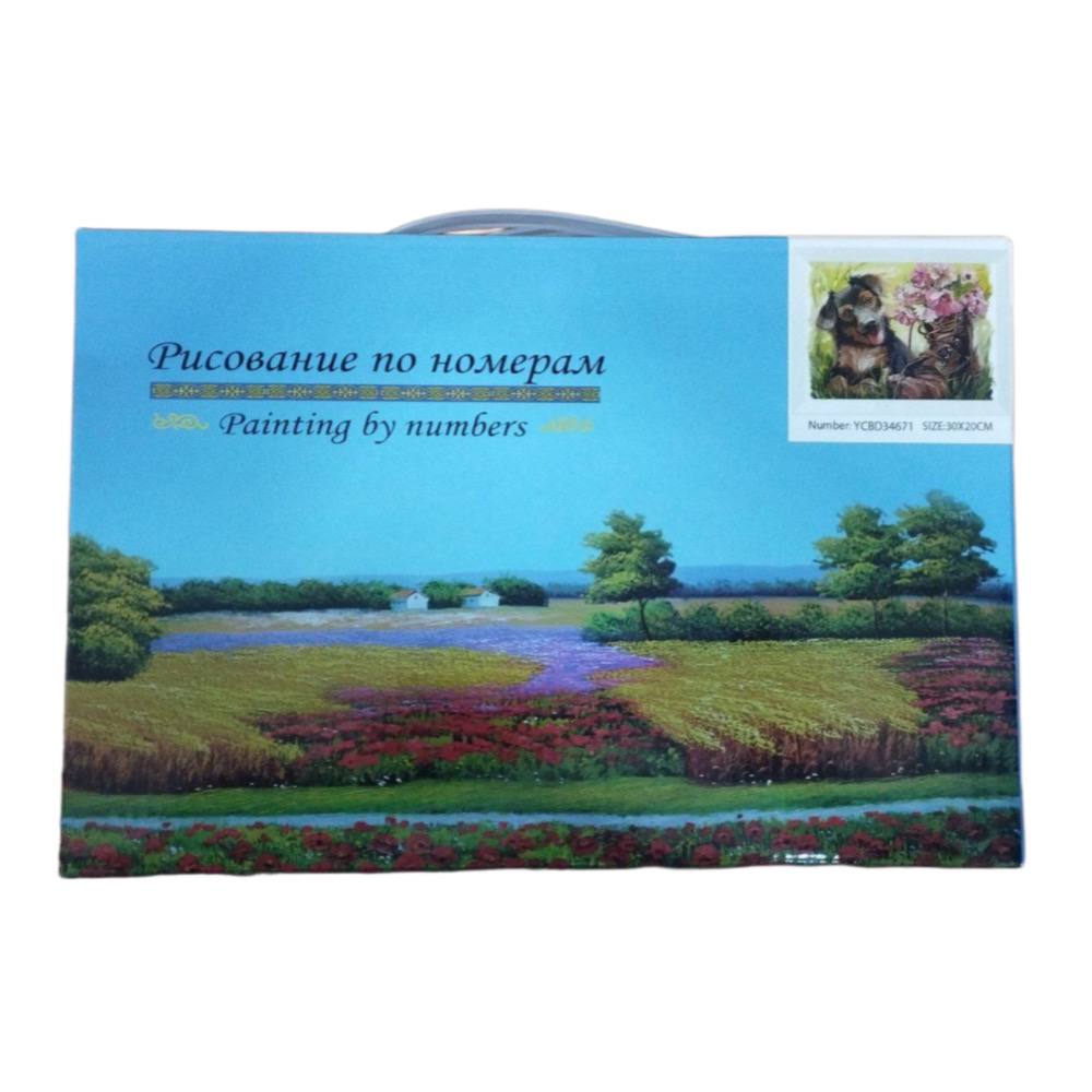 Картины по номерам 20*30 (Вид 2)