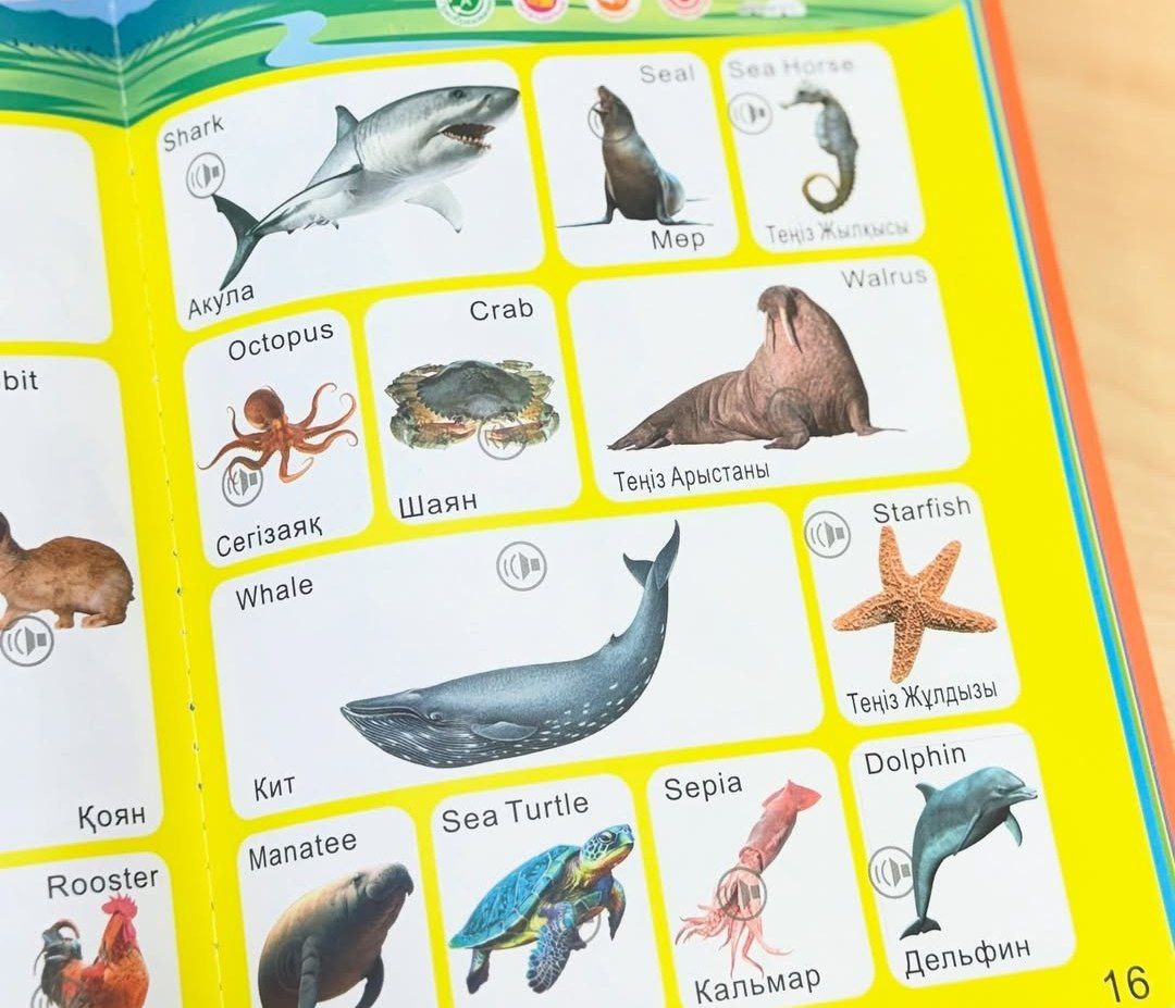 Обучающая книжка на казахском языке арт.LZM-002 (Вид 3)